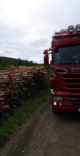 Vi har fortsatt bjørkevirke på lager klar til levering