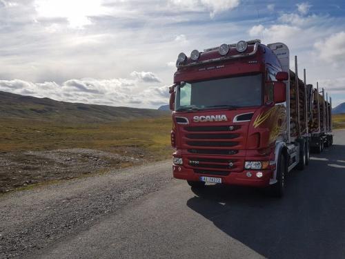 Målselvbjørk på tur til Finnmark