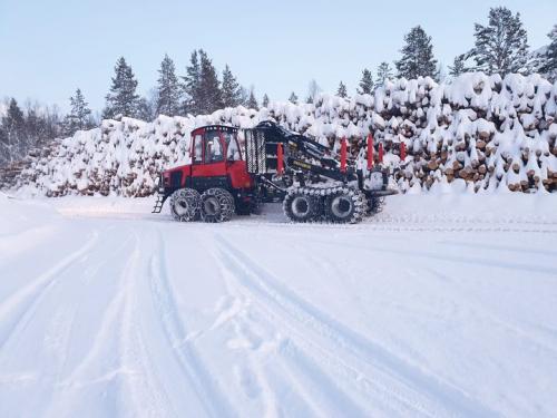 kvalitetsbjørk fra Målselv